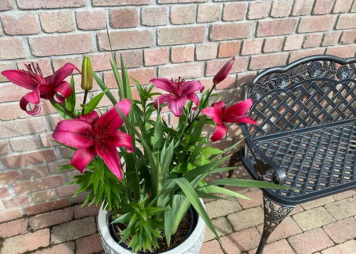 Hortenzia Appartement